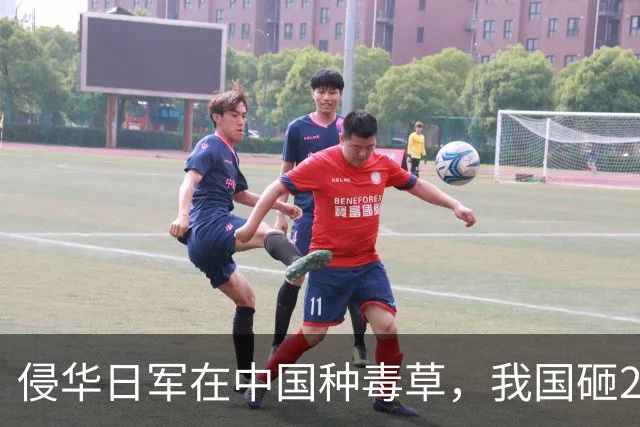 侵华日军在中国种毒草，我国砸2亿治不住，却让一只小虫轻松根除
