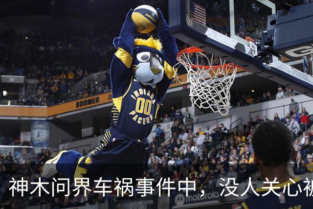 神木问界车祸事件中，没人关心被烧死的那个人